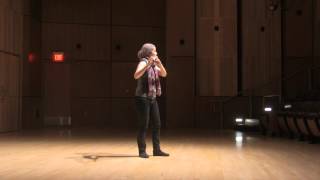 Fawn - Tom Waits Tribute on flute