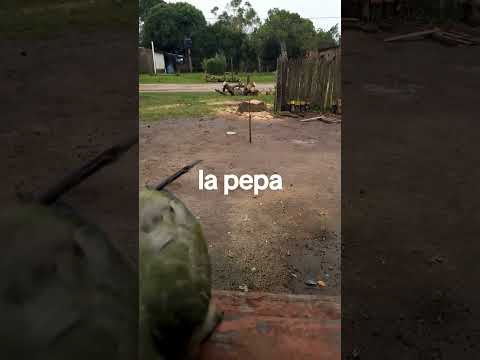 Puerto bermejo Chaco suscriban a mi canal muchas gracias