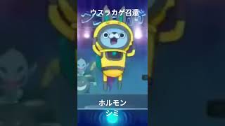 ウスラカゲ召還でシミ#妖怪ウォッチ
