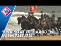 Paarden oefenen weer voor Prinsjesdag tijdens de traditionele schriktraining - OMROEP WEST