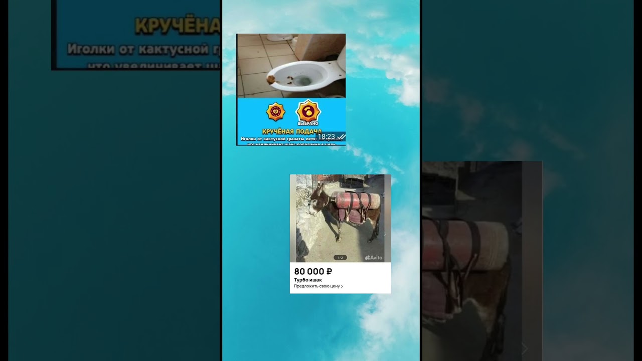 #залетиврек #залити #пустьзалетит