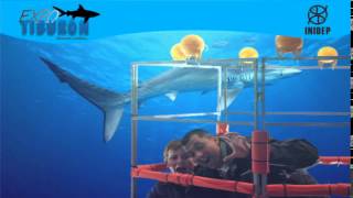 DIA 2 Expo Tiburon50