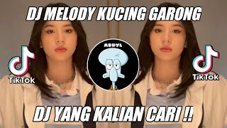 Download lagu DJ ANJAY AKU BOHONG ARAK YANG BOHONG MELODY KUCING GARONG VIRAL TIK TOK mp3