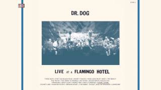 Dr. Dog - &quot;Shame, Shame&quot; (Full Album Stream)