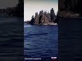 Forest Giant Emerges Groundbreaking Bigfoot Footage Revealed Must See Scary Comp