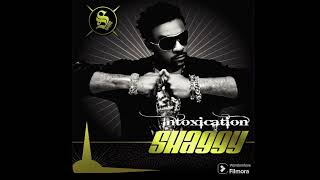 Shaggy — Mad Mad World — 🇺🇸🎵