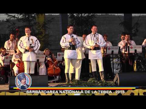 Ovidiu Olari, Cristian Fodor, Ovidiu Homorodean - ȚEBEA 2015