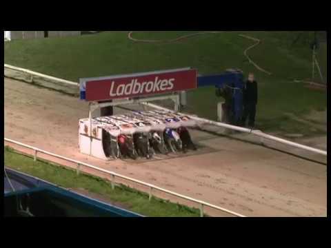 Forest Alan - Ladbrokes Kent Derby - Final