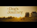 A Dog’s Journey | Official Trailer | In Cinemas August 15