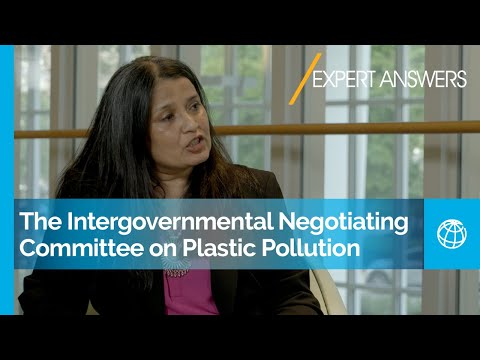 The Intergovernmental Negotiating Committee on Plastic Pollution | World Bank Expert Answers Extra
