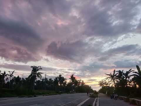 Bosx1ne, JRoa, Flow-G, Bullet-D - Need You