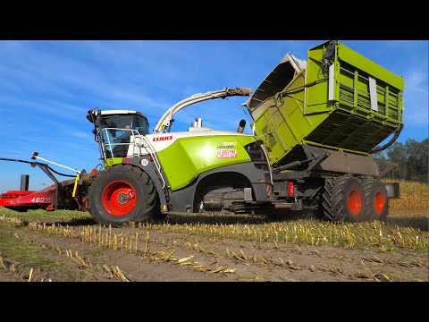Maize harvest | Claas 980 Field Shuttle | New Holland T7.270 Blue Power Tractoren - DeBruyne