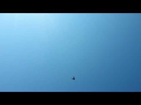 27 06 2017 В жару жаль но долго не полетали молодежь