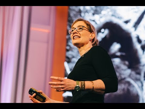 Understanding Animal Culture | Lucy Aplin | Explorers Festival London 2019
