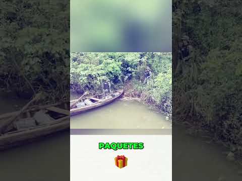 Incautan 200 Kilos de Marihuana y Cocaína en Misiones #shorts