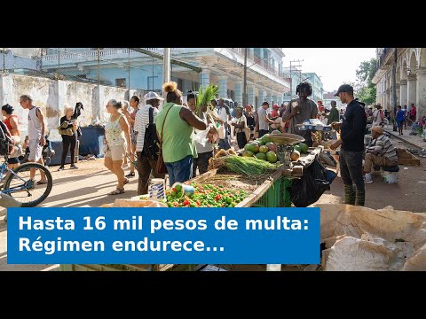 Hasta 16 mil pesos de multa: Régimen endurece controles en mercados agropecuarios de La Habana