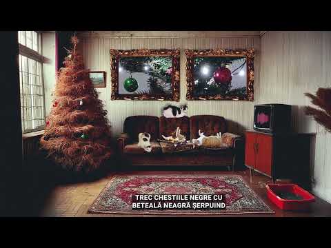 Fane Stelaru x canopus - Xmas AfterParty