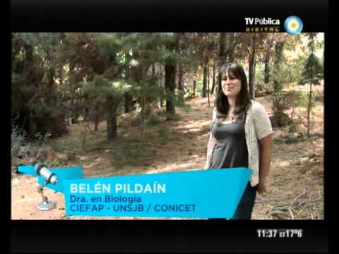 Científicos Industria Argentina 02-06-12 (1 de 4)