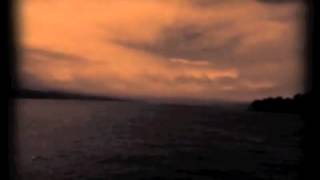 Frantic Romantic - The Scientists