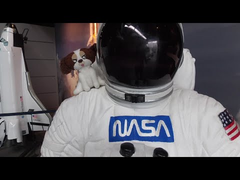 Cold Fusion - Dr Bob and Peter Diamandis Xprize ХТЯ 冷聚变