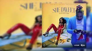 Elephant Man - She Dweet (Official Audio)