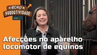 DE OLHO NA PRODUTIVIDADE - AFECÇÕES NO APARELHO LOCOMOTOR DE EQUINOS