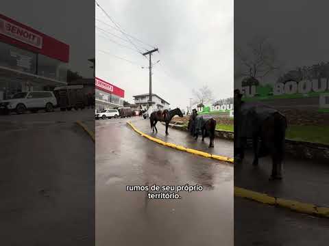 Boqueirão do Leão: História, Tradição e Raízes Gaúchas.#boqueiraodoleao #riograndedosul #boqueirao