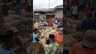 Download lagu Pasar Kambing Tradisional di Sanggrahan Pakis Magelang mp3