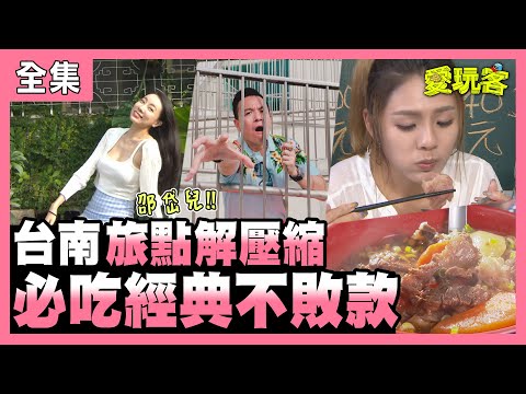 台南特有種!必吃經典不敗款!! - 愛玩客