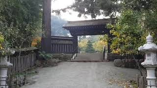 How to Design a Tantalizing Garden Entry