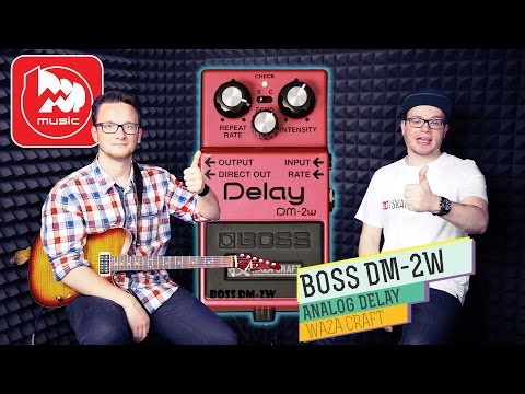 Обзор педали эффектов Boss DM-2W
