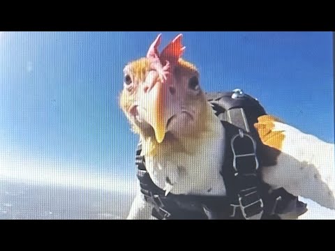 Flying plane in VR chat