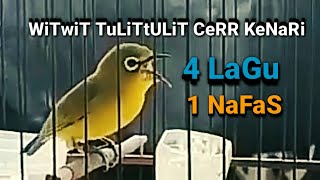 Download lagu PLECI NEMBAK PANJANG 1 NAFAS 4 LAGU,SANGAT COCOK UNTUK MASTERAN G12 || JOKEN - FAUZI NV88 mp3