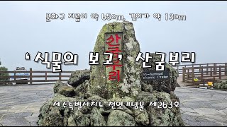 식물의보고 산굼부리 탐방