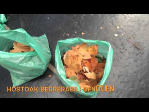 Aldatzen Zarautz Laranja