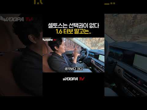 셀토스는 다른 선택권이 없다..