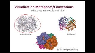 Molecular Visualization Conventions: Representations of Atoms, Bonds, and Molecules