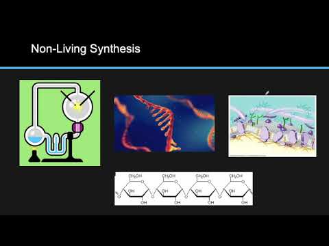 IB Biology 1.5 Review