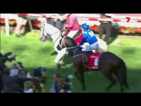 2017 MVRC W S Cox Plate Winx Reception