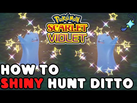 How to Shiny Hunt Ditto in Pokemon Scarlet and Violet