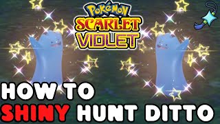 How to Shiny Hunt Ditto in Pokemon Scarlet and Violet