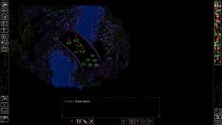 Getting Picky - Let's Play Baldur's Gate Part 14