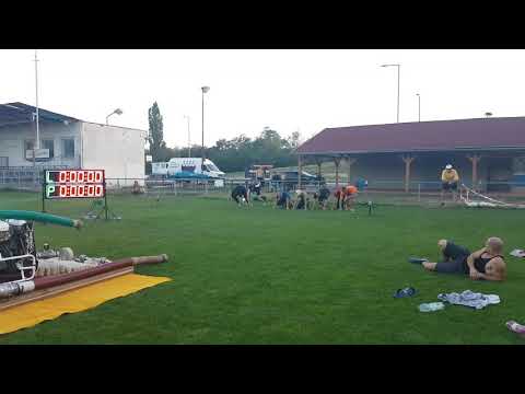 Dhz Pavlice A tréning 31.8.2017