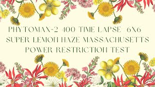 PhytoMAX-2 400 l Time Lapse | 6x6 | Super Lemon Haze | Massachusetts Power Restriction Test