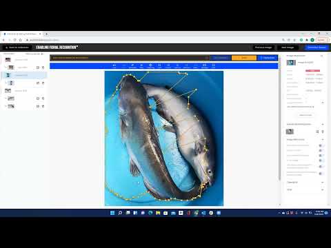 Fishial.AI Portal - How to Create, Edit, and Delete Polygons