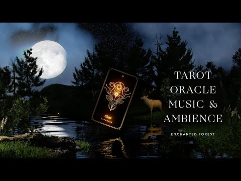 Tarot & Oracle Music & Ambience with the Cosmic Wild Oracle Deck in an Enchanted Forest by Cocorrina