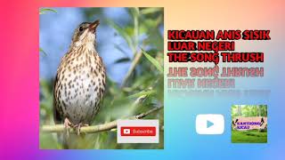 Download lagu KICAUAN ANIS SISIK LUAR NEGERI MANTAP mp3