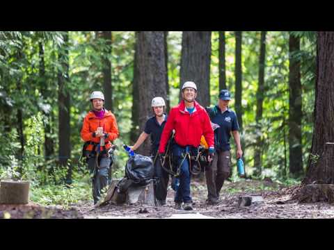 Fun things to do in Fernie