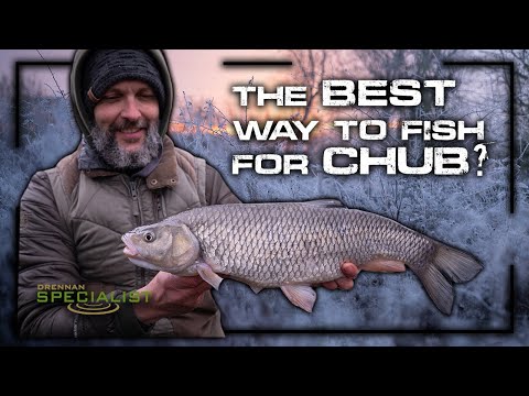 The BEST way to fish for CHUB? | Mark Boyd | Chub Fishing