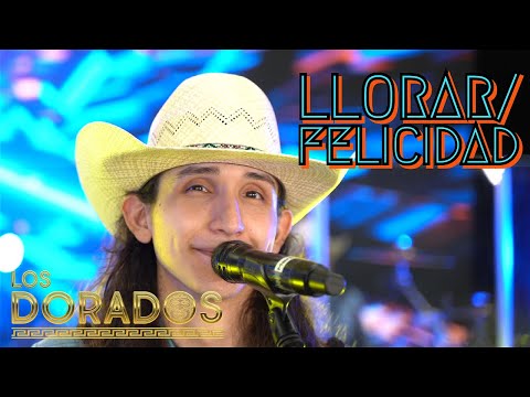Los Dorados - Llorar/Felicidad (En Vivo)